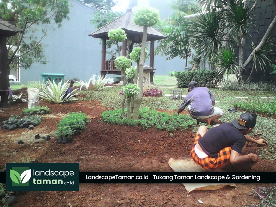 Bisnis Terbaik Penyedia Layanan Perawatan Taman dan Kebun