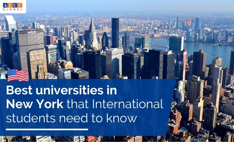 Bisnis Terbaik di Universitas New York: Program Unggulan dan Keunggulan