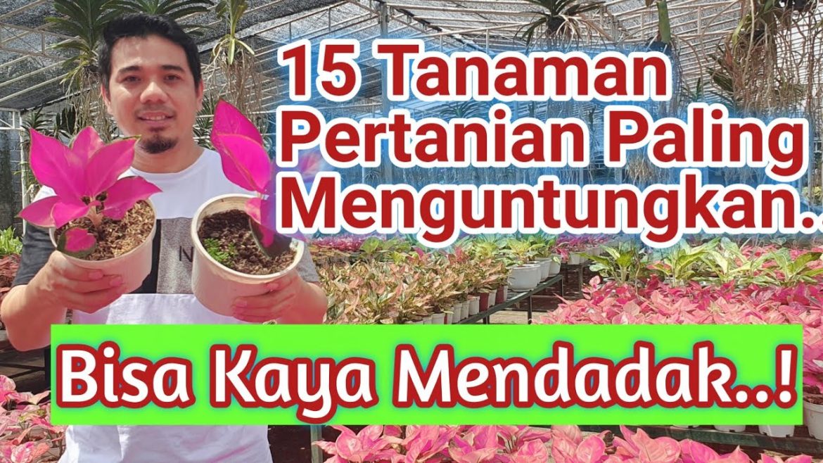 Mengenal Bisnis Penata Taman yang Sukses dan Menguntungkan