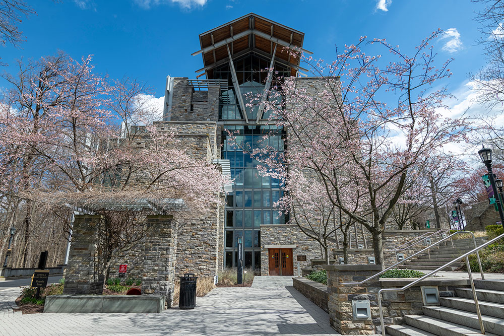 Usaha Terbaik Mindgrub di Loyola University Maryland: Prestasi dan Inovasi