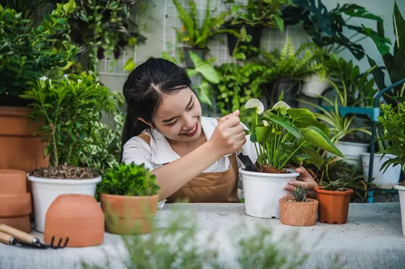 Bisnis Terbaik di Bidang Perawatan Tanaman dan Lansekap