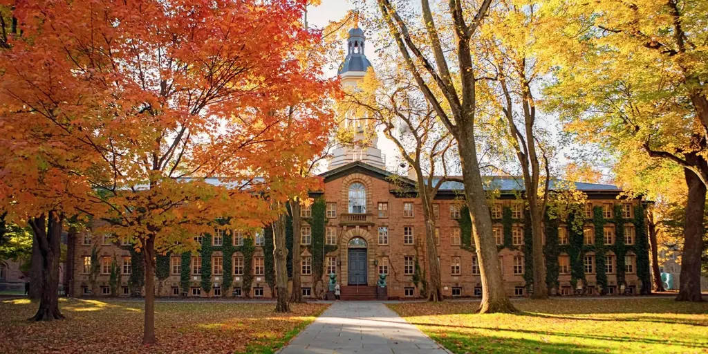 Bisnis Terbaik di Dunia Menurut Universitas Princeton