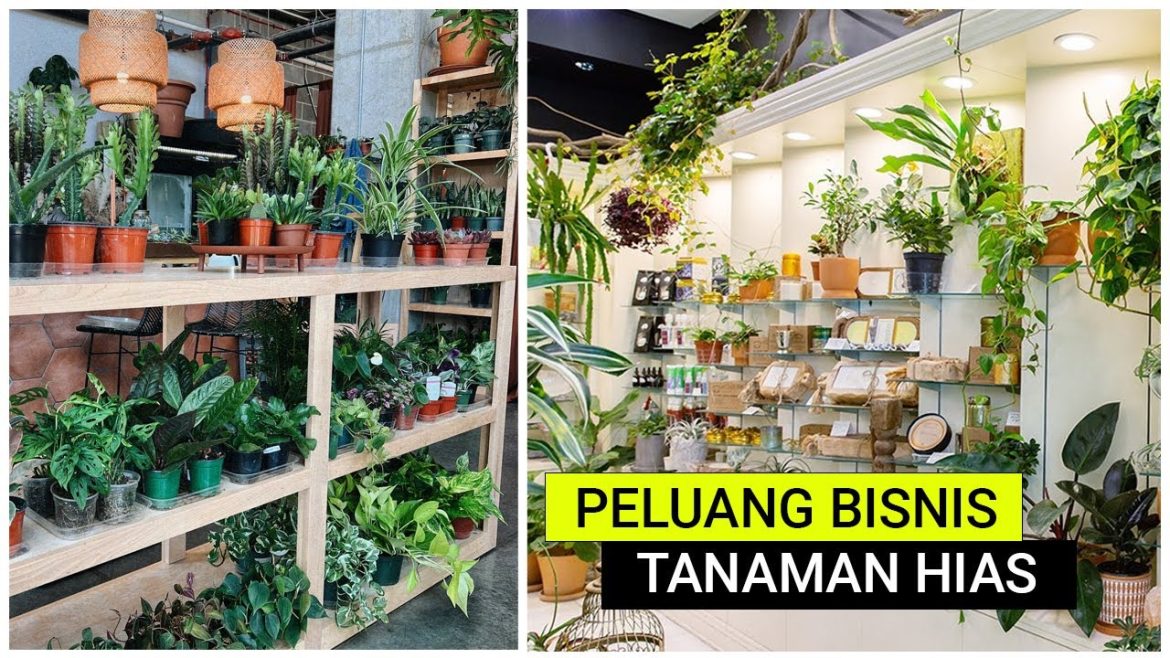 Bisnis Toko Tanaman Hias Terbaik untuk Peluang Menguntungkan